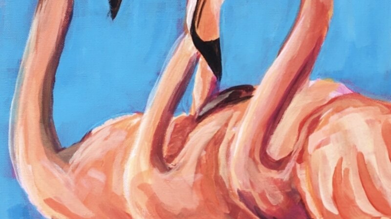 Flamingos