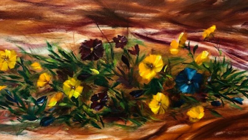 Pansies in the Wind