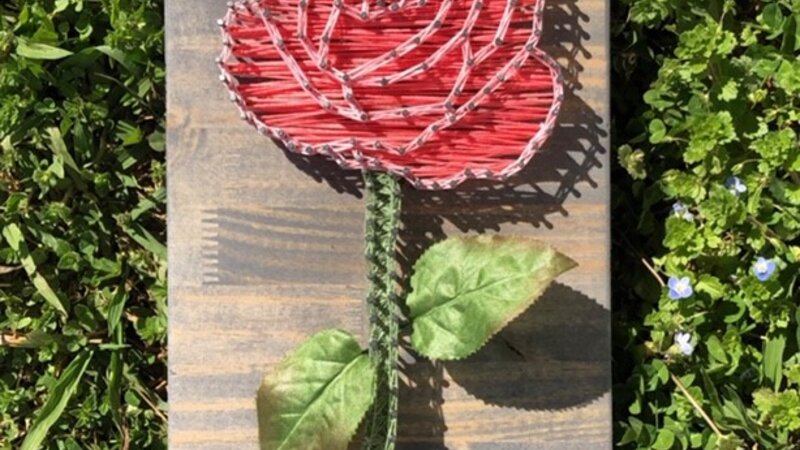 Spring Time Flower