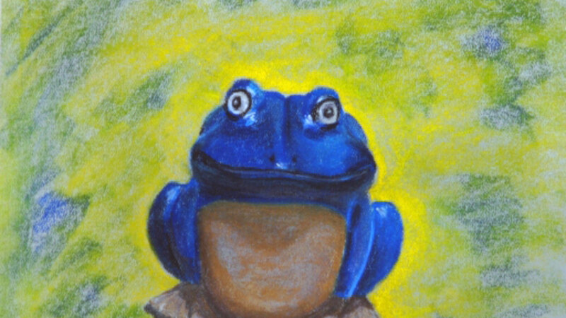 A Frog
