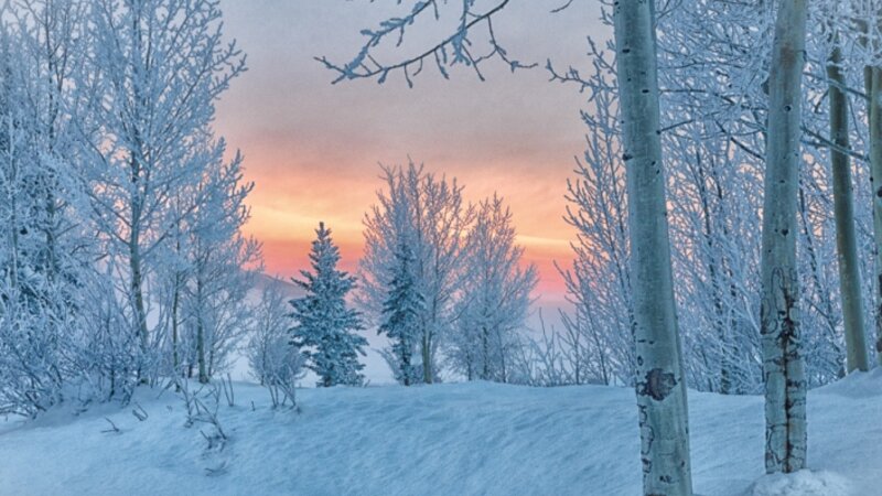 Frosty Sunrise