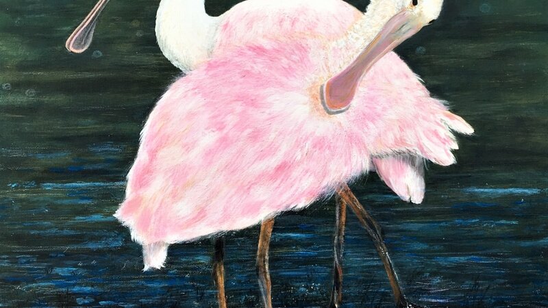 Edisto Spoonbills