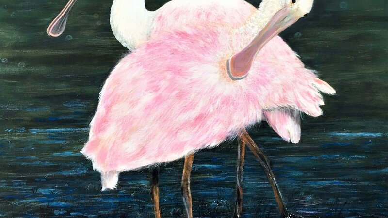 Edisto Spoonbills
