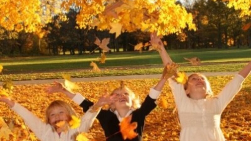 Fall Fun