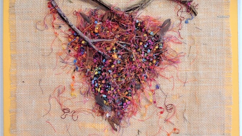 Golden Crested Kinglet Nest