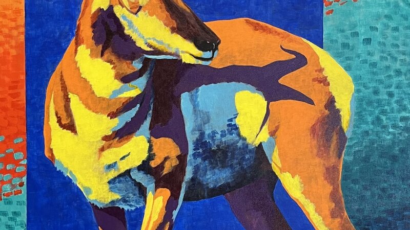 Golden Hour Pronghorn/Acrylic/16x20/J.Trueax