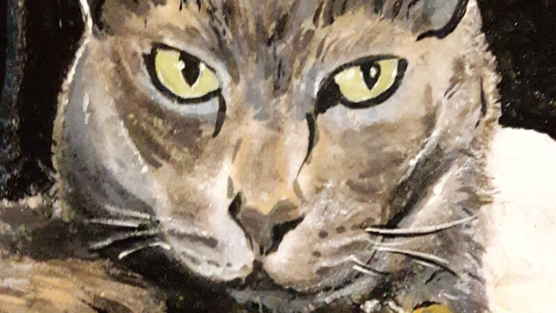 Painting of gray cat on Santorini stone.