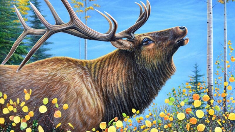24x30 oil painting by Yvonne Hazelton depicts a beautiful Autumn Symphony created by the rustling of golden leaves and bugling of bull elk.