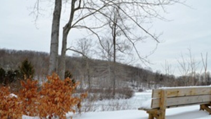 Hedden Park