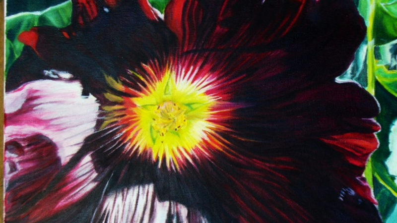 HOLLYHOCK