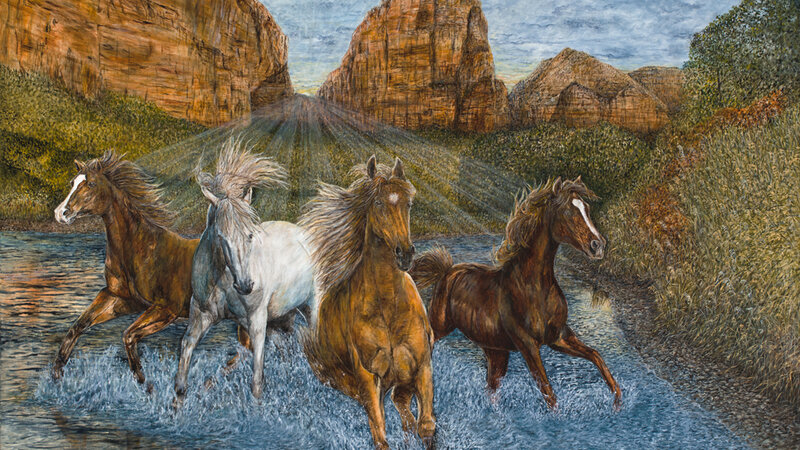 mustangs, horses, wild horses, horse play