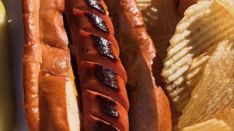 a grilled hot dog on a bun sits next to chips