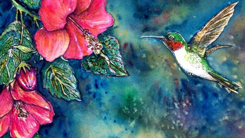 Hummingbird