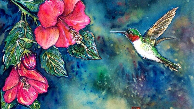 Hummingbird