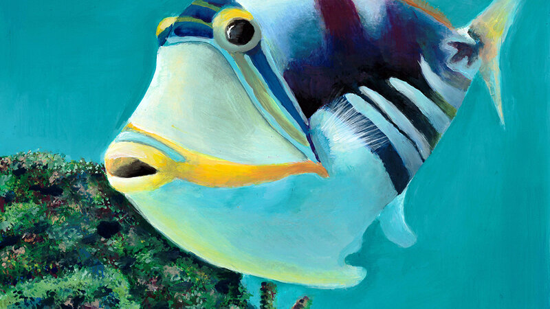 Humuhumu
