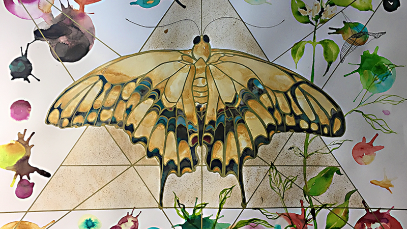 Illuminated Butterfly