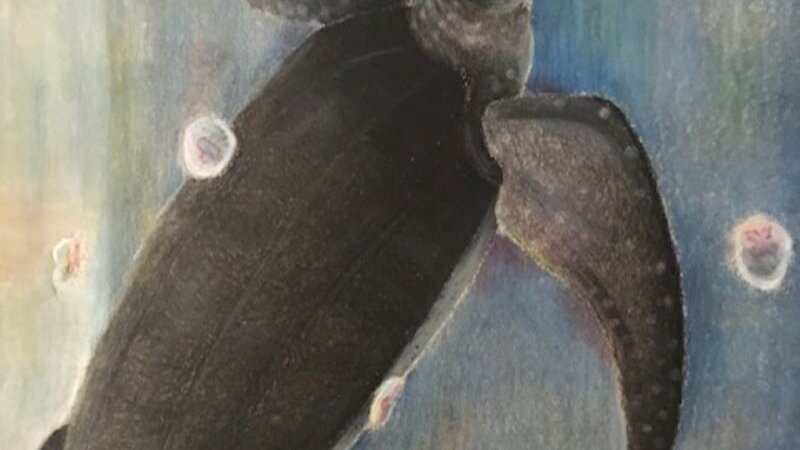 This piece was made with prisma pencils 