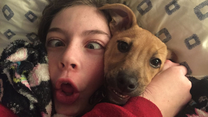 googlly eyes