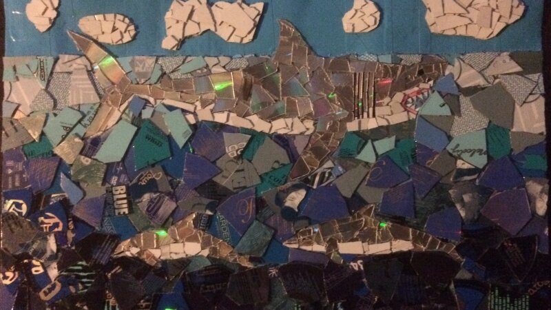 Shark, dolphin, ocean 