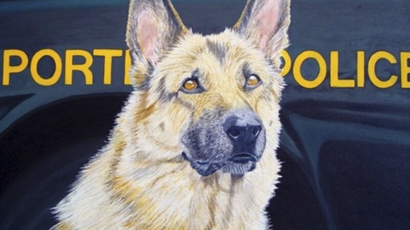 Officer Spike (Protecting a Great City)