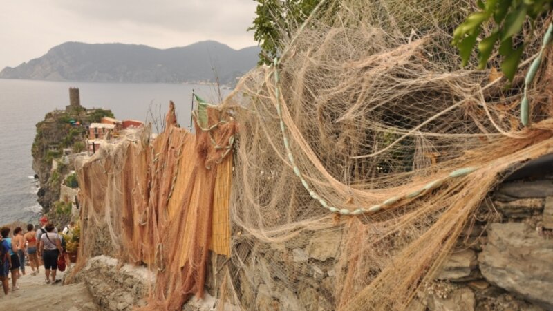 Cinque Terre Fishing Nets