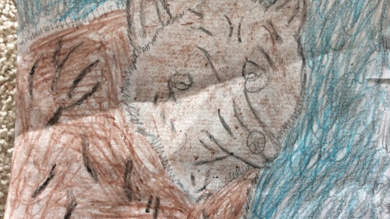 Bear