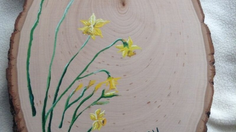 Dreamy Daffodils