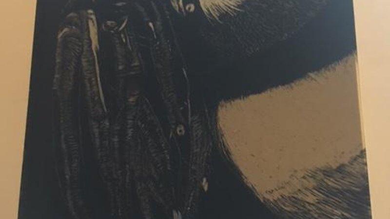 Can you see the bird!?