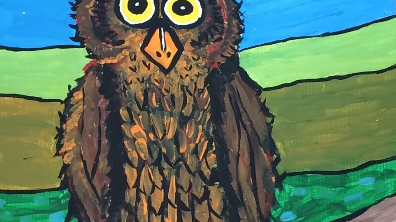 Night Owl