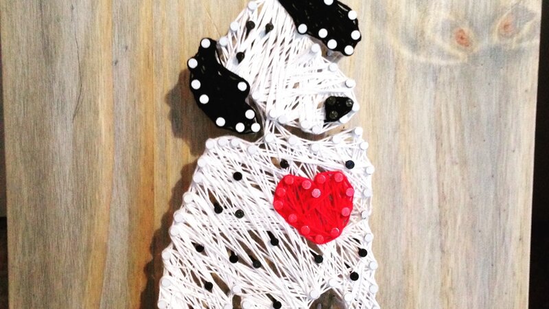 Dalmatians love 