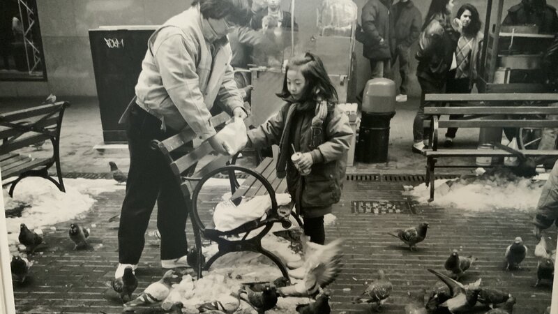 Feed the birds