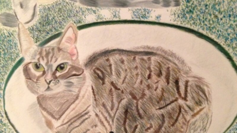 Lounging in the Life of Luxury