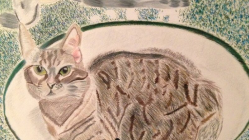 Lounging in the Life of Luxury