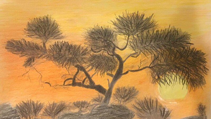 Wilderness