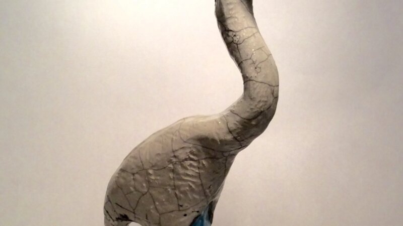 Sand Hills Crane