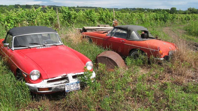Forgotten Classics