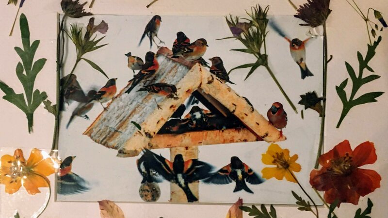 Birdhouse surrounded by pressed flowers and leaves