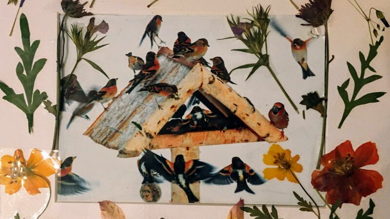 Birdhouse surrounded by pressed flowers and leaves
