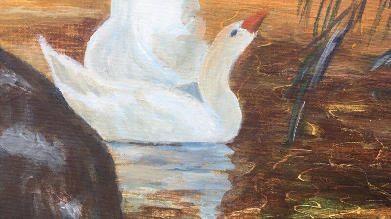 "Swan Grooming at Water's Edge"