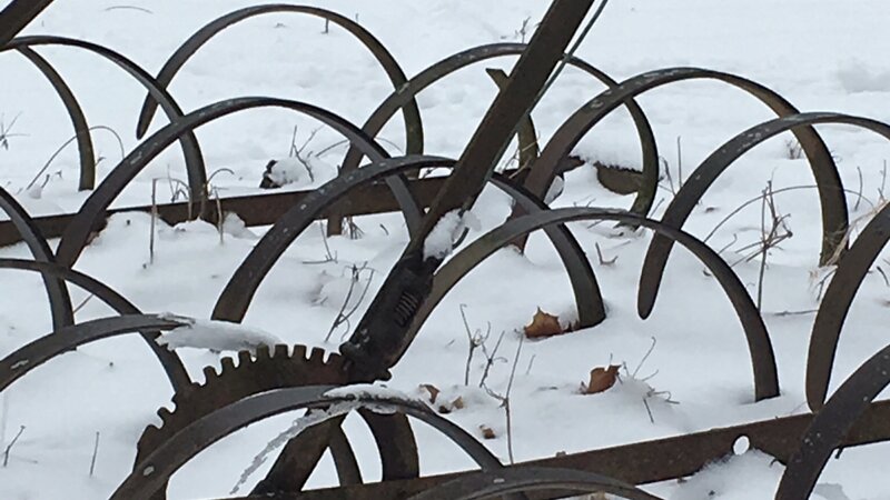 Waiting for spring