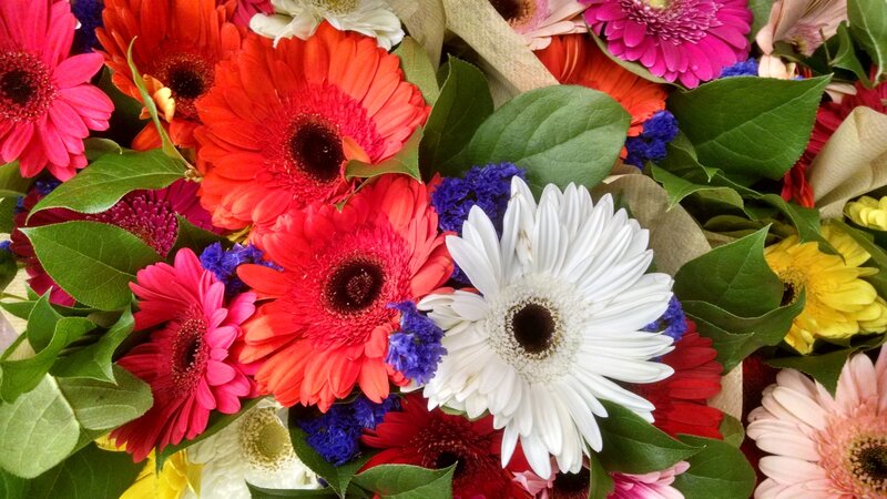 Florals,nature,botanical,flowers,art,nature art,photography,digital,fineart,