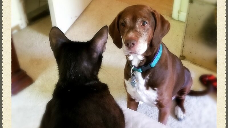 Why Won't You Be My Friend