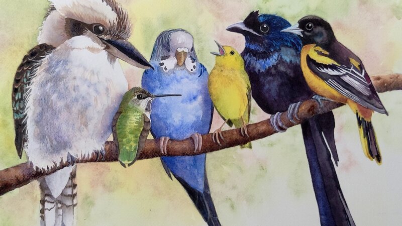 Birds of All Colors