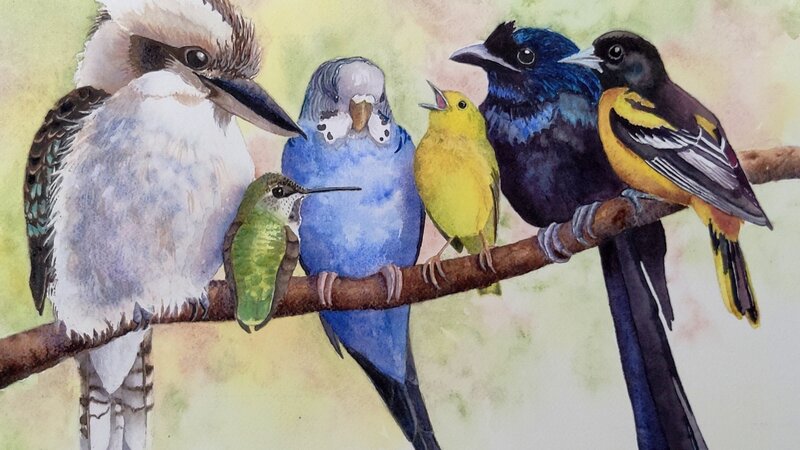 Birds of All Colors