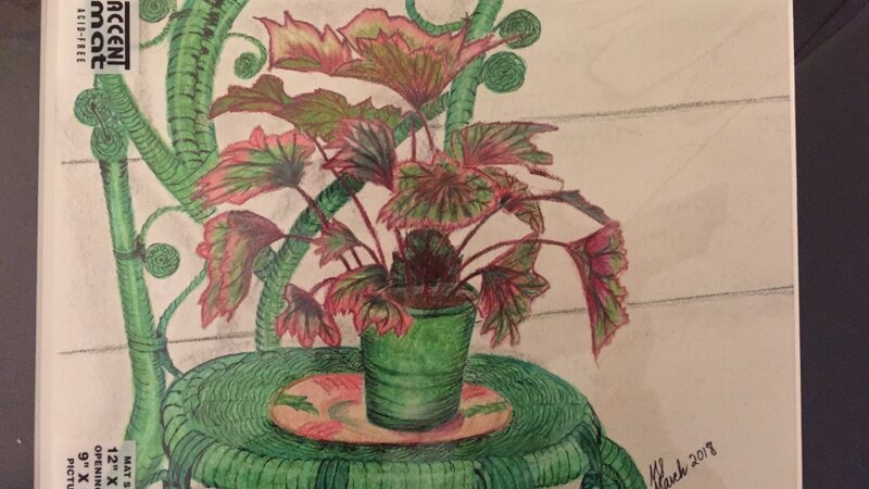 Plant on porch
