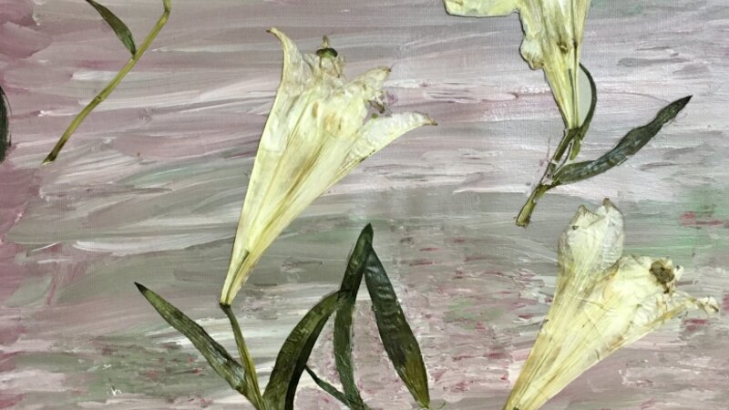 Easter Lilies