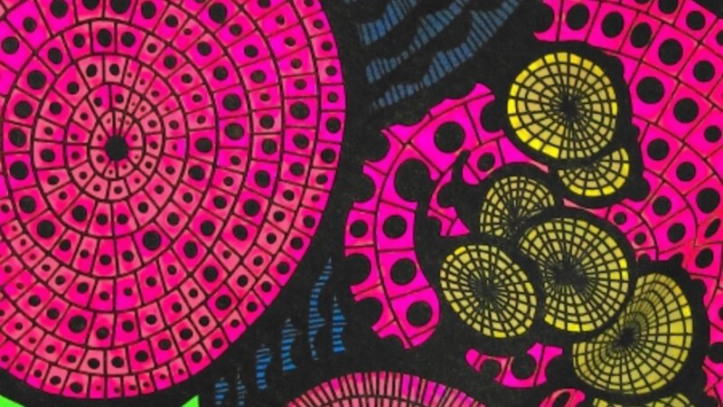 Psychadelics