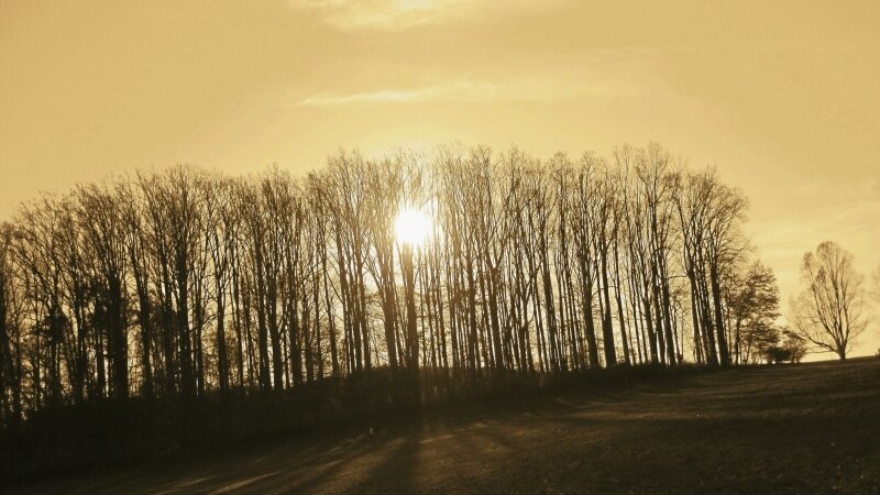 Brandywine Creek State Park