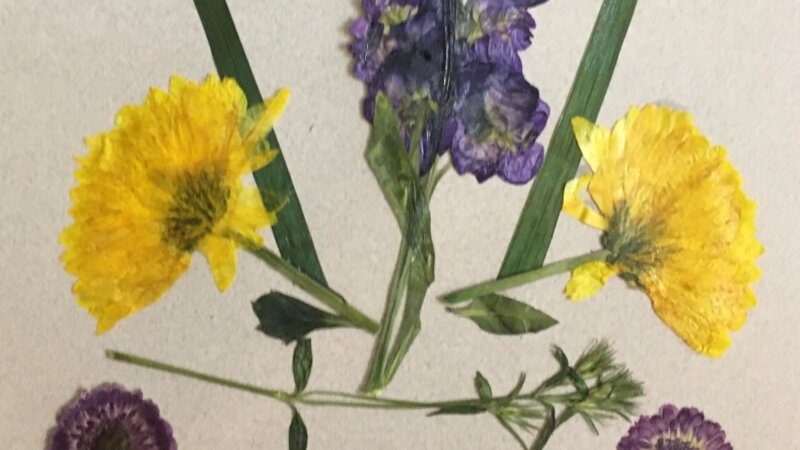 Flower Art