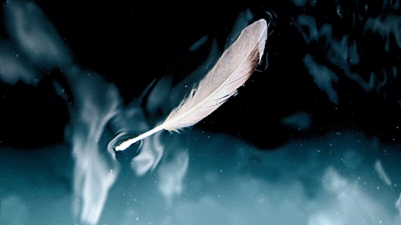 Feathered Dreams